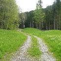 zum Wald